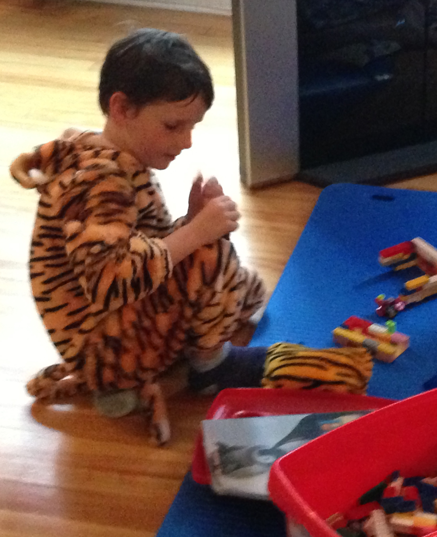 David, as a tiger, going rogue with free-form Lego.